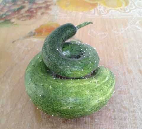 练过瑜伽的黄瓜植物gif搞笑图片