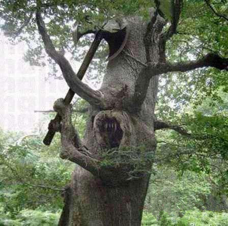 你是要逆天吗？植物gif搞笑图片