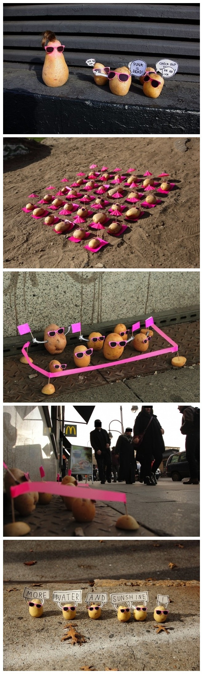 会卖萌的土豆先生植物gif搞笑图片