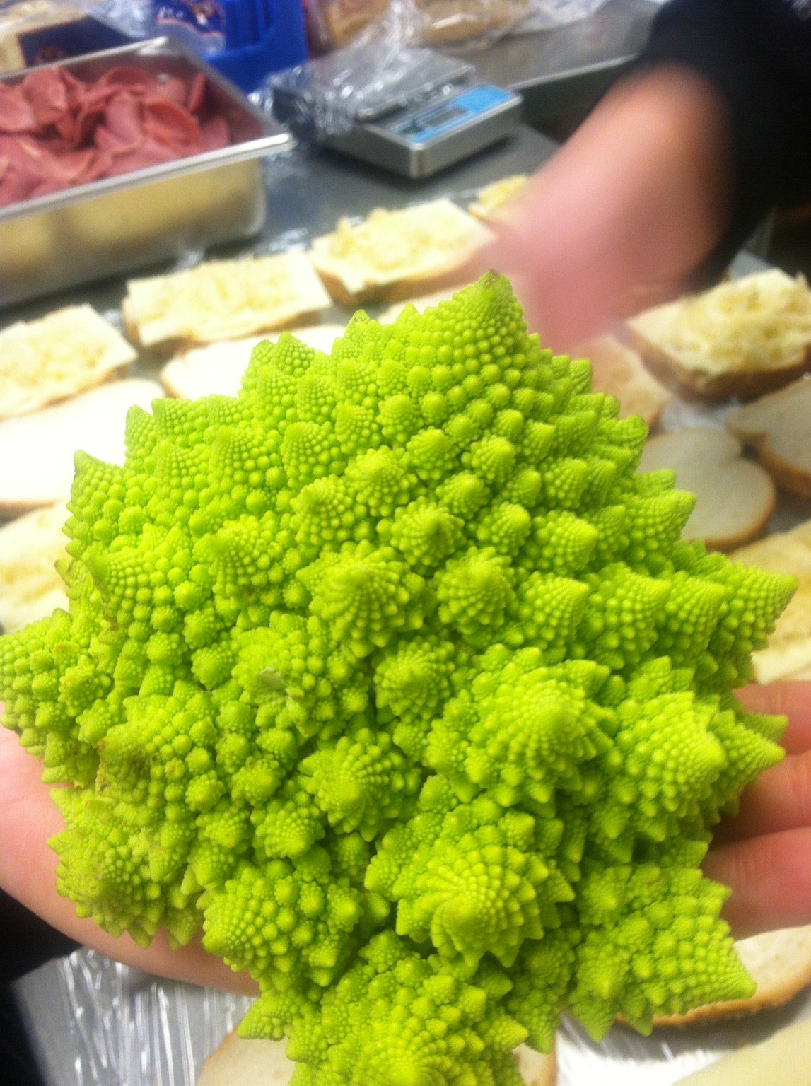 这个菜花可真是高大上啊植物gif搞笑图片