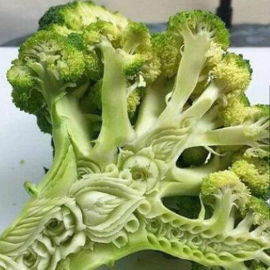 刀工一级棒植物gif搞笑图片