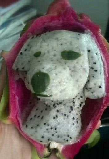 火龙果也可以成这般萌样哦！植物gif搞笑图片