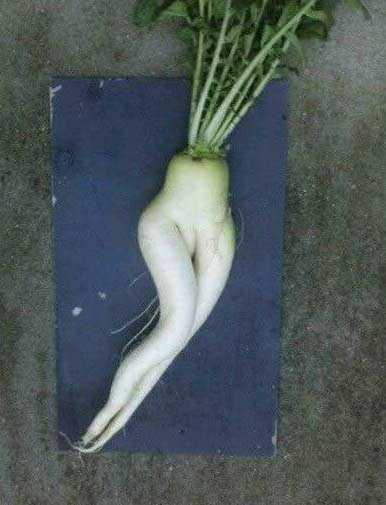 这身材这曲线，让多少女人嫉妒植物gif搞笑图片