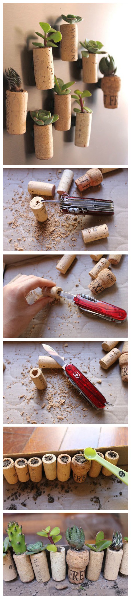 创意红酒塞diy绿植植物gif搞笑图片