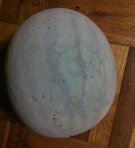 冰箱里的西瓜兄植物gif搞笑图片