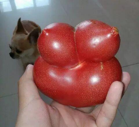 丰乳肥臀，就是我植物gif搞笑图片