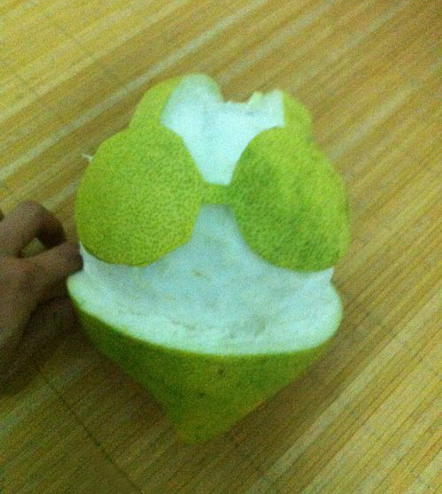 性感的胖女人植物gif搞笑图片