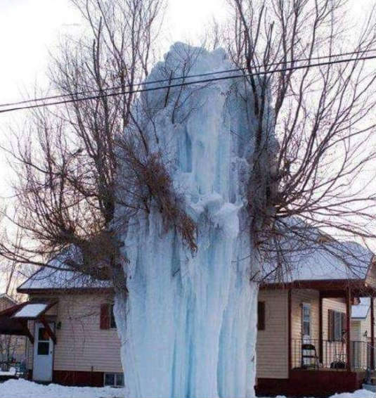 树妖被法师封住了植物gif搞笑图片