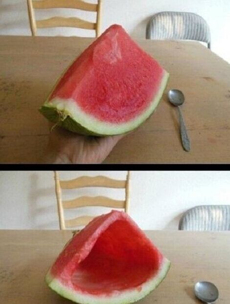 我的室友是个贱人！就这样被欺骗了！被欺骗了！植物gif搞笑图片