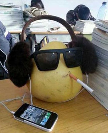 传说中的柚富帅，好骚气植物gif搞笑图片