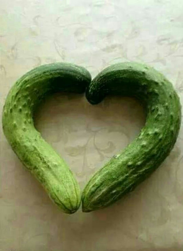 妹纸，给你介绍两个男朋友植物gif搞笑图片