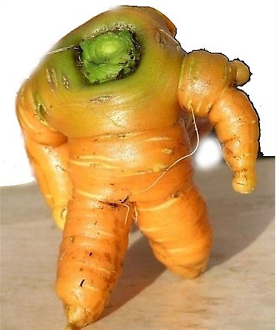 植物人在行动植物gif搞笑图片