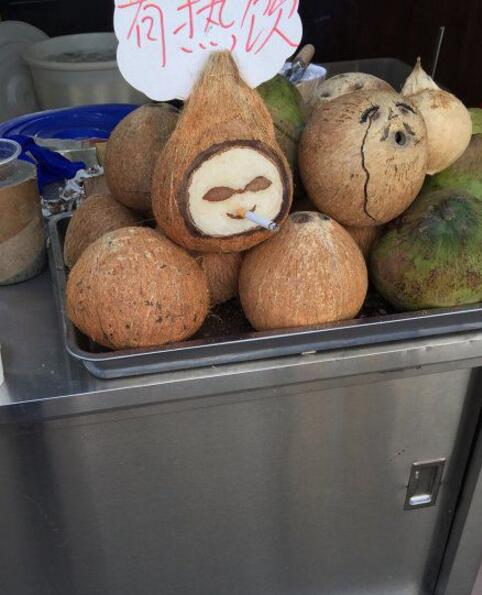 椰子一脸享受的表情，我也是醉了植物gif搞笑图片