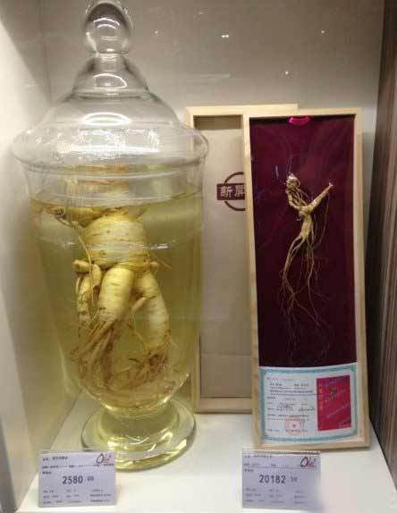 胖子是没有市场的植物gif搞笑图片