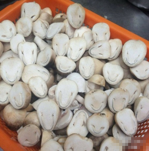 好有喜感的草菇植物gif搞笑图片