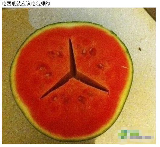 西瓜中的战斗机植物gif搞笑图片