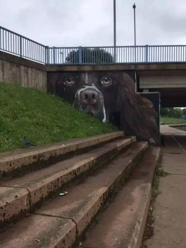 和环境结合得天衣无缝植物gif搞笑图片
