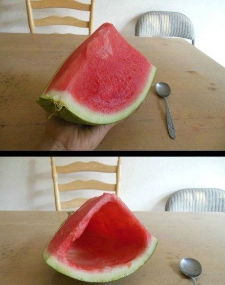 我的室友是个贱人！！就这样被欺骗了！！被欺骗了！植物gif搞笑图片