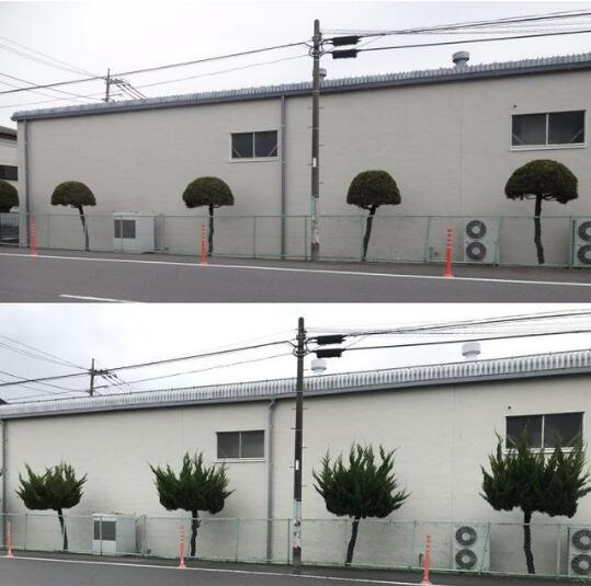 一觉睡醒后植物gif搞笑图片