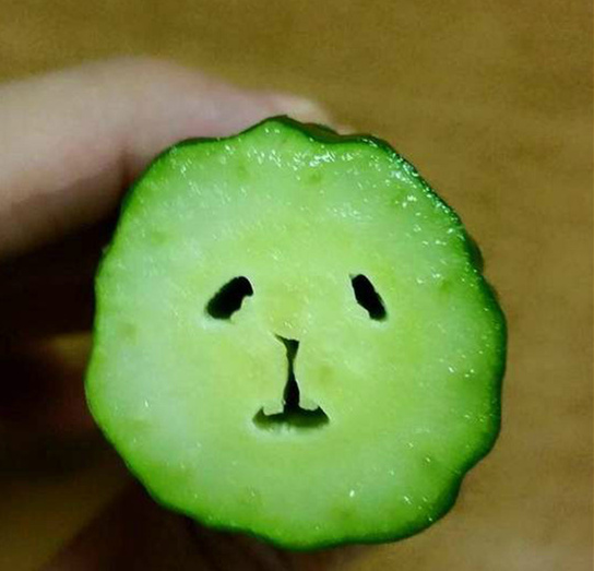 有点哀怨有点无辜的小黄瓜植物gif搞笑图片