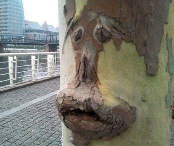 我今天超级不开心植物gif搞笑图片