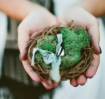 diy可爱青苔婚礼戒枕植物gif搞笑图片