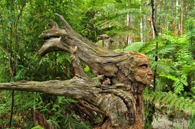 感觉要成精了植物gif搞笑图片