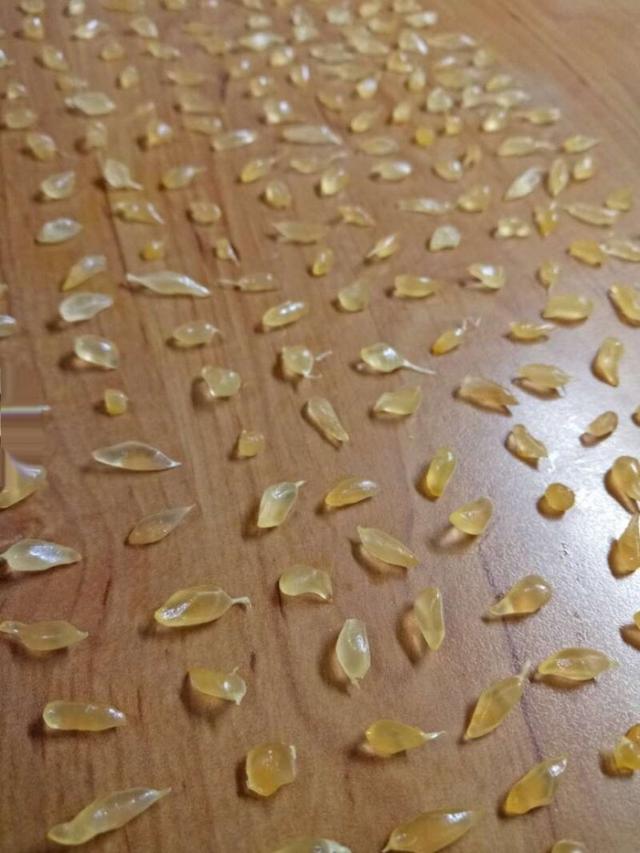 一粒一粒拔下来吃植物gif搞笑图片