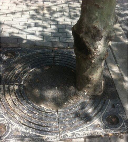 这要让强迫症的人看见？植物gif搞笑图片