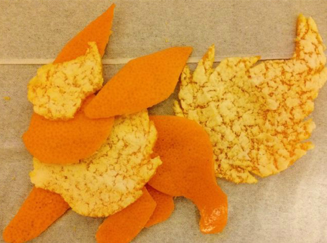 用橙子皮制作的火精灵植物gif搞笑图片