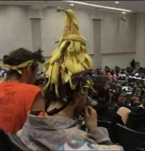 这帽子真时尚，最新款吗植物gif搞笑图片