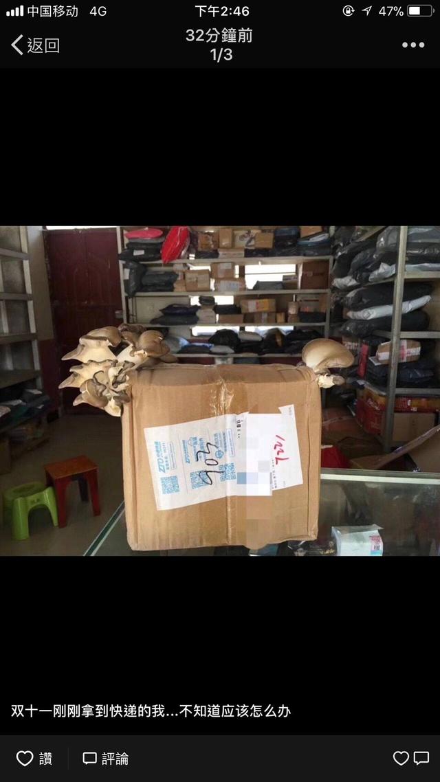 终于拿到双十一的快递植物gif搞笑图片