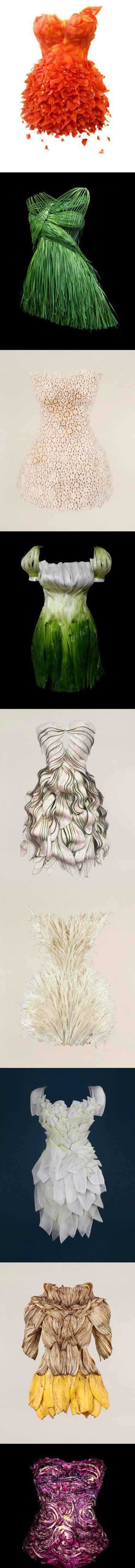 蔬菜晚礼服植物gif搞笑图片