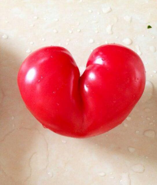 番茄也比心植物gif搞笑图片