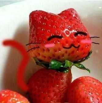 好萌的草莓kitty猫咪植物gif搞笑图片