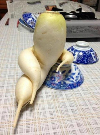 一根萝卜那么仪态万千真的好吗？植物gif搞笑图片