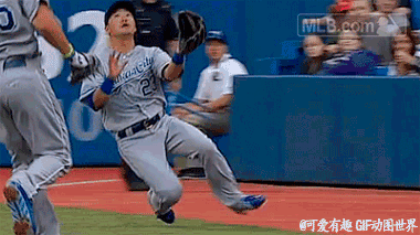 手法精确到蛋疼。。植物gif搞笑图片