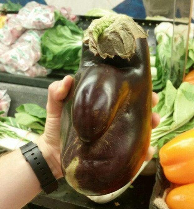 别人的男朋友植物gif搞笑图片