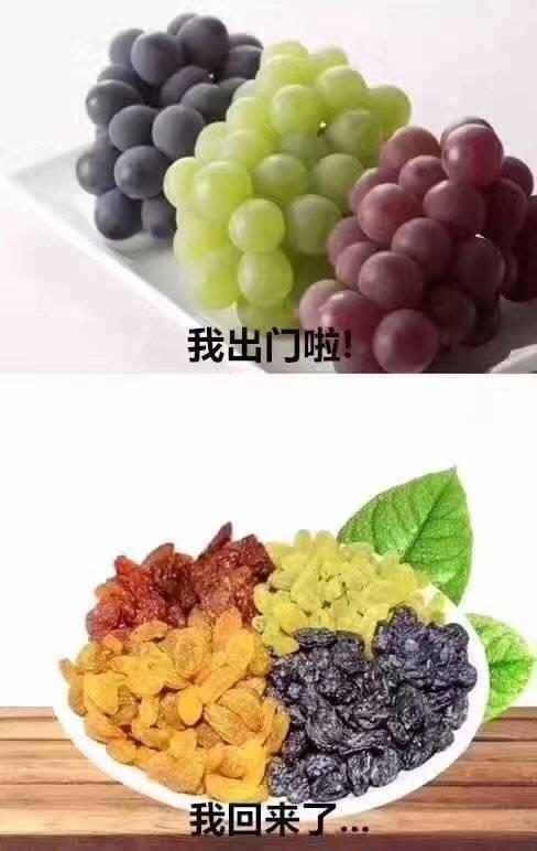 夏天出门植物gif搞笑图片