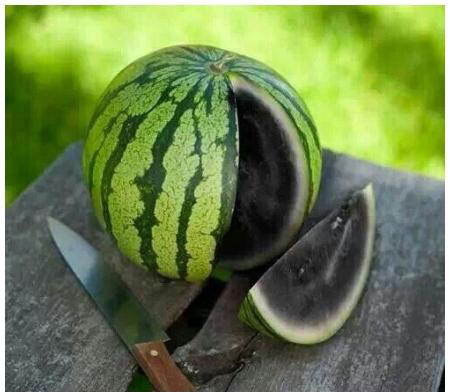 朋友从非洲回来，带来一个瓜植物gif搞笑图片