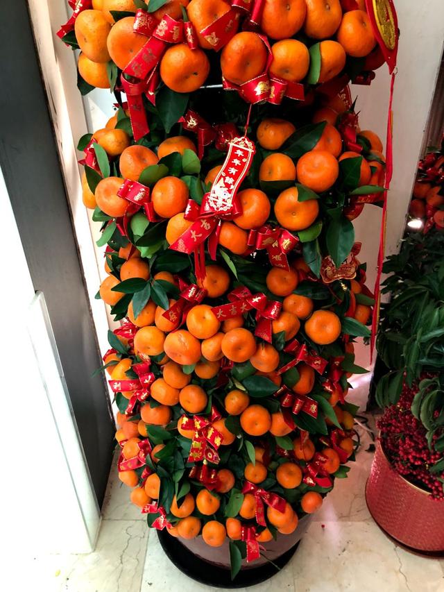 走的很渴，路过家店门口摆满了小橘子，还想着买几个橘子吃，走近一看是卖盆栽的，看看吊牌上的价格，不渴了植物gif搞笑图片