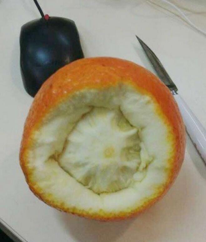 穿这么厚的棉袄，你一定很怕冷吧？植物gif搞笑图片