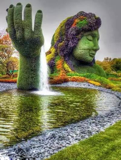 园艺弄成这样也是醉了植物gif搞笑图片