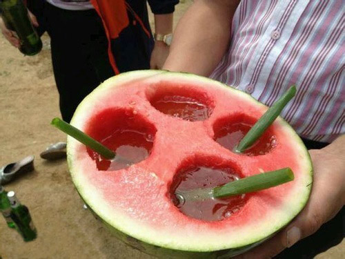 绿色环保西瓜汁植物gif搞笑图片