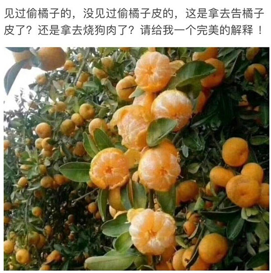 财不外露，这肉肉都露出了了植物gif搞笑图片