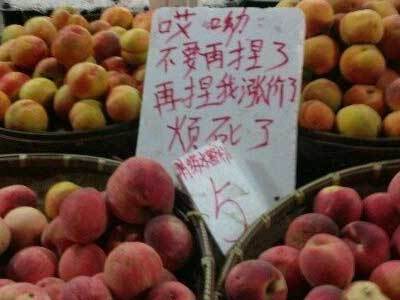 哎哟不要再捏我们了植物gif搞笑图片