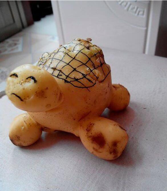 传说中的神兽植物gif搞笑图片