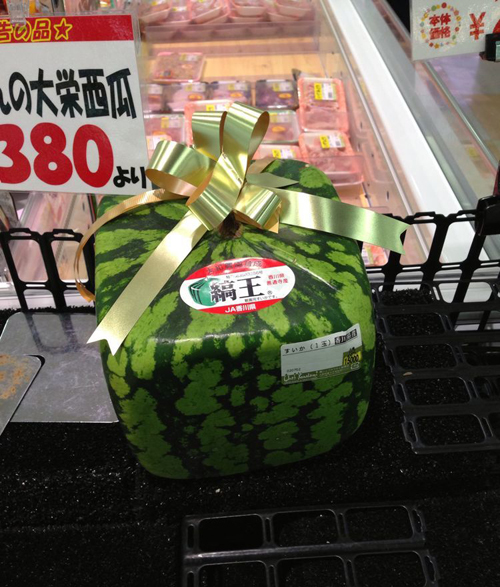 四方型西瓜。日本有的卖？植物gif搞笑图片