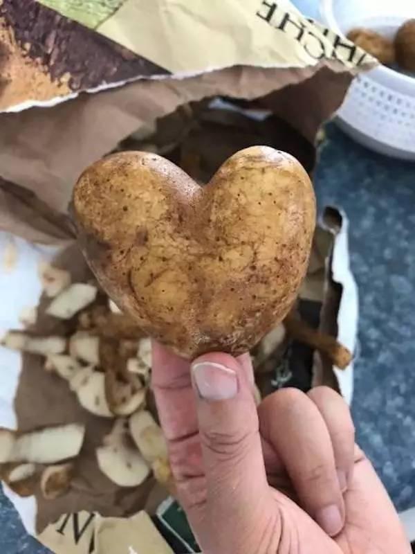 送给姑娘，会成功吗？植物gif搞笑图片