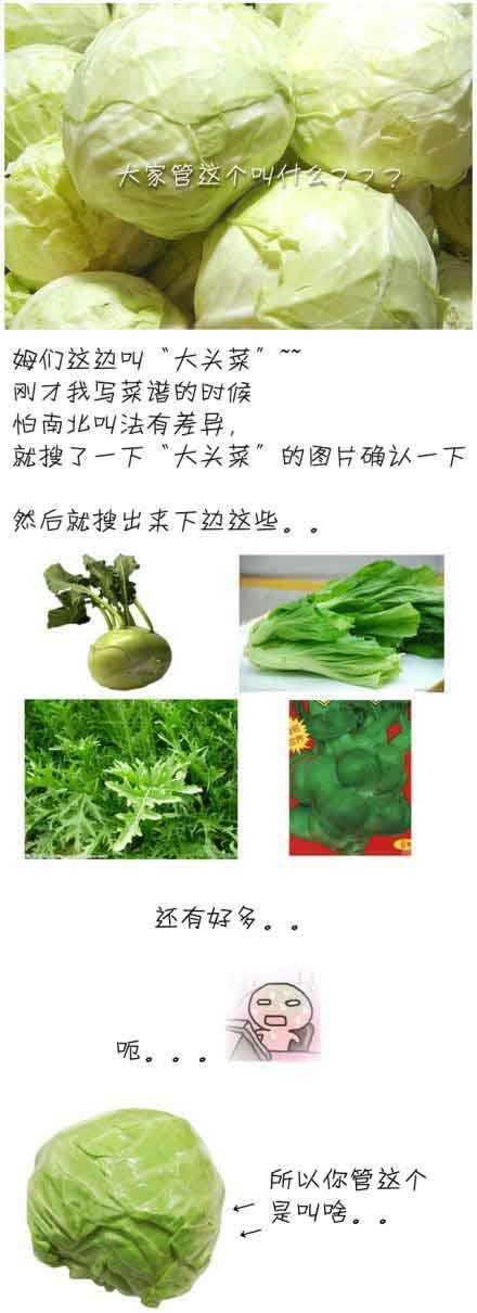 姆们叫大头菜...你们管这个叫啥？植物gif搞笑图片